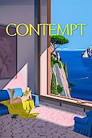 Contempt