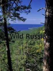 Wild Russia