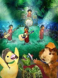 Wonder Pets