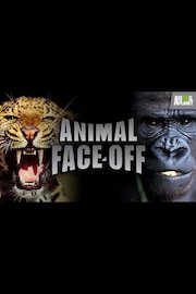 Animal Face-Off Season 1 Episode 6