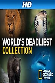 World's Deadliest Collection Season 1 Episode 4