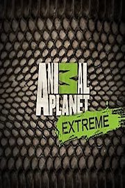 Animal Planet Extreme Season 1 Episode 5