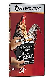The Natural History of the Chicken Season 1 Episode 1