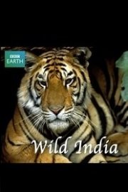 Wild India (Land of the Tigers) Season 1 Episode 2