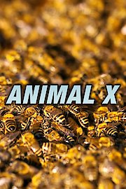 Animal X Season 2 Episode 4