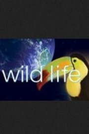 Wild Life Season 1 Episode 10