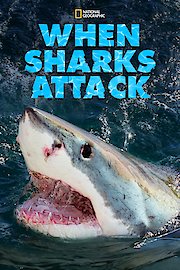 When Sharks Attack Season 6 Episode 4