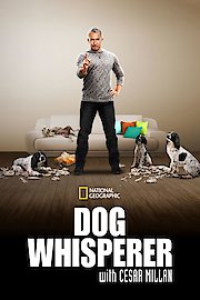 Dog Whisperer Season 2 Episode 4