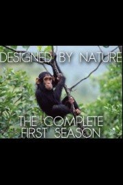 Designed By Nature Season 1 Episode 1