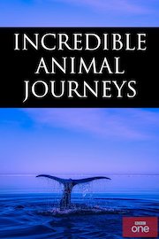 Animal Journeys Season 1 Episode 1
