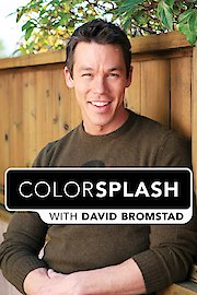 Color Splash Season 11 Episode 1