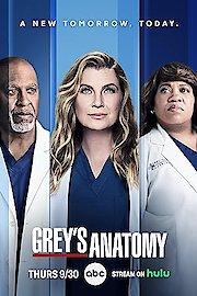 Grey's Anatomy Season 8 Episode 13