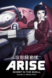 Ghost in the Shell: Arise, Border 1: Ghost Pain Season 1 Episode 1