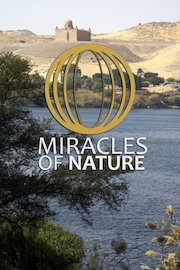 Miracles of Nature Season 2 Episode 5