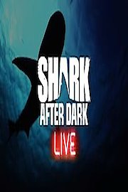 Shark After Dark Season 2017 Episode 4