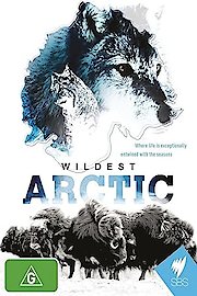 Wildest Arctic Season 1 Episode 4