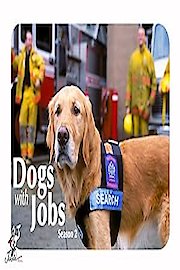 Dogs with Jobs Season 1 Episode 2