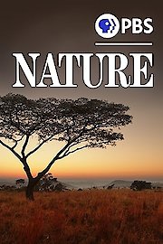 Nature Season 3 Episode 2