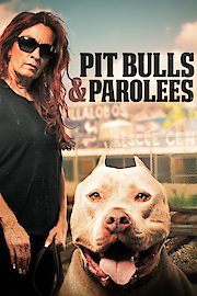 Pit Bulls and Parolees Season 16 Episode 4