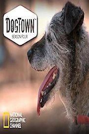 DogTown Season 4 Episode 10