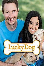 Lucky Dog Season 7 Episode 23