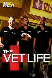 The Vet Life Season 6 Episode 9