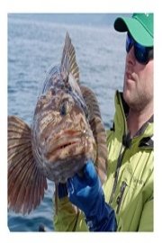 Sport Fishing TV Season 4 Episode 5