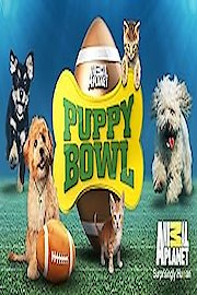 Puppy Bowl Season 18 Episode 1
