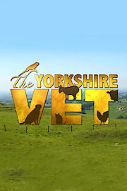 The Yorkshire Vet Season 10 Episode 1