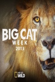 Big Cat Week 2015 Season 1 Episode 1
