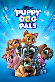 Puppy Dog Pals Season 4 Episode 43