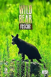 Wild Bear Rescue Season 2 Episode 1