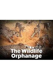 The Wildlife Orphanage Season 1 Episode 7