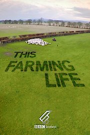 This Farming Life Season 3 Episode 6