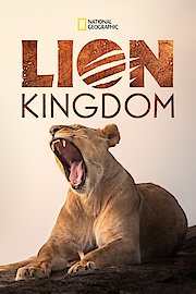 Lion Kingdom Season 2 Episode 1