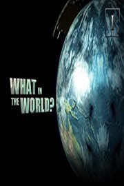 What In the World Season 1 Episode 10
