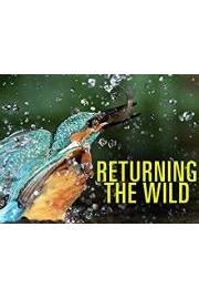 Returning the Wild Season 1 Episode 1