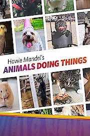 Howie Mandel's Animals Doing Things Season 2 Episode 1