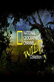 National Geographic Channel: Wild Season 1 Episode 1