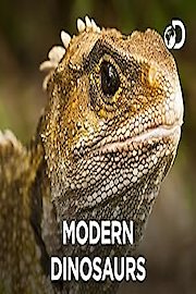 Modern Dinosaurs Season 1 Episode 1