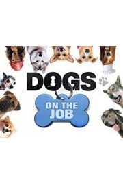 Dogs on the Job Season 1 Episode 3