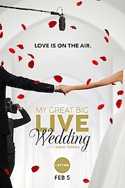 My Great Big Live Wedding With David Tutera Season 1 Episode 7