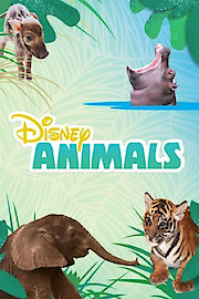 Disney Animals Season 1 Episode 3