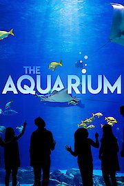 The Aquarium Season 2 Episode 10