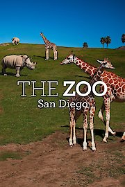 The Zoo: San Diego Season 1 Episode 9