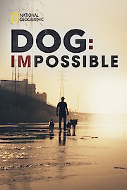 Dog: Impossible Season 2 Episode 2