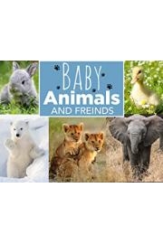 Baby Animals and Friends Season 1 Episode 1