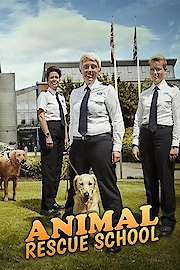 Animal Rescue School Season 1 Episode 4