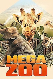 Mega Zoo Season 1 Episode 6