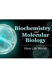 Biochemistry and Molecular Biology: How Life Works Season 1 Episode 1